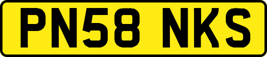 PN58NKS