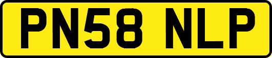 PN58NLP