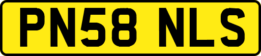 PN58NLS