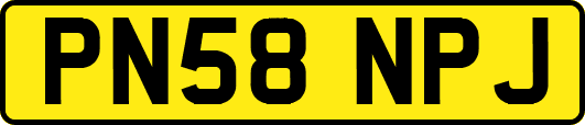 PN58NPJ