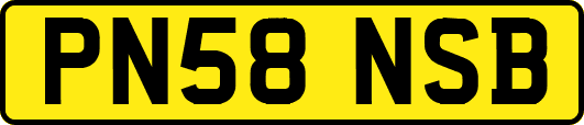 PN58NSB
