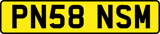 PN58NSM