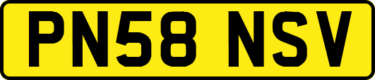 PN58NSV