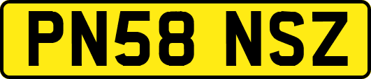 PN58NSZ