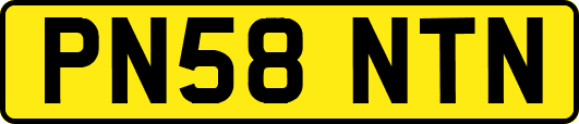 PN58NTN