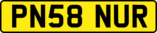 PN58NUR