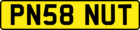 PN58NUT