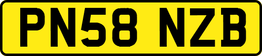 PN58NZB