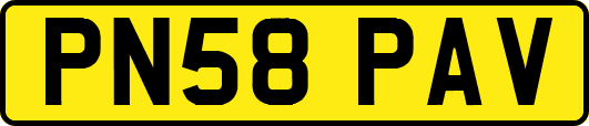 PN58PAV