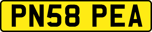 PN58PEA