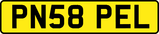 PN58PEL