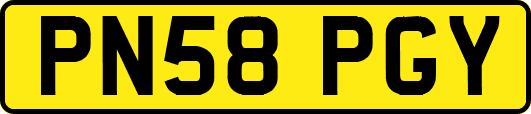 PN58PGY