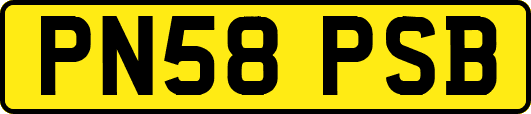 PN58PSB
