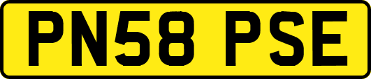 PN58PSE