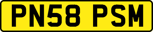 PN58PSM