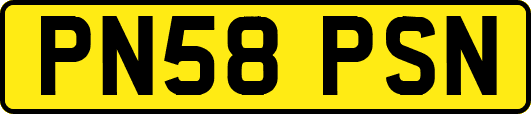 PN58PSN