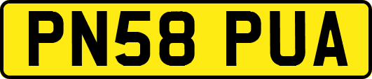 PN58PUA