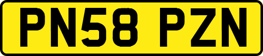 PN58PZN