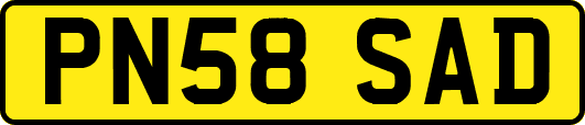 PN58SAD