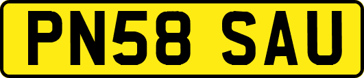 PN58SAU