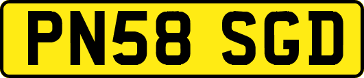 PN58SGD