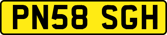 PN58SGH