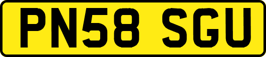 PN58SGU
