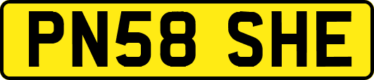 PN58SHE