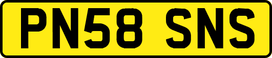 PN58SNS