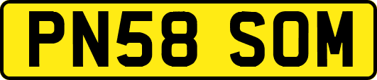 PN58SOM