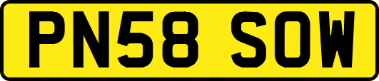 PN58SOW