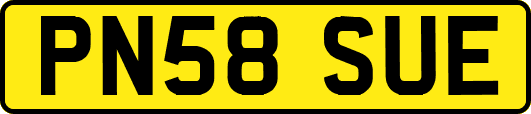 PN58SUE