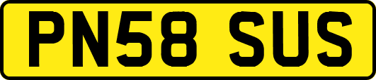PN58SUS