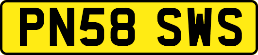 PN58SWS