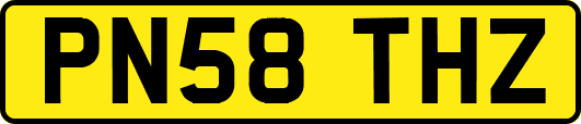PN58THZ