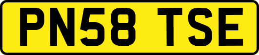 PN58TSE