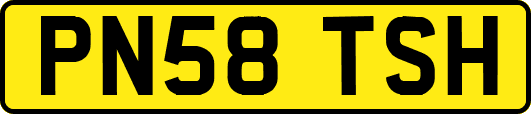 PN58TSH