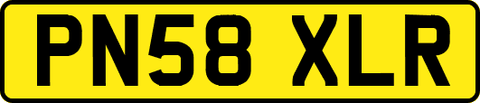 PN58XLR