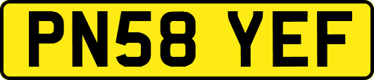 PN58YEF