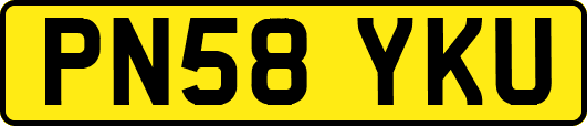 PN58YKU