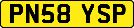 PN58YSP
