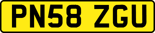 PN58ZGU