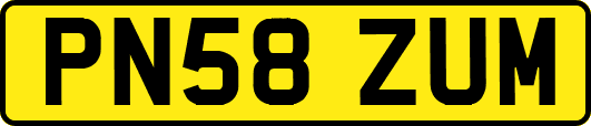 PN58ZUM