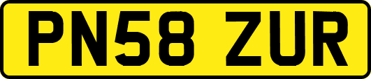 PN58ZUR