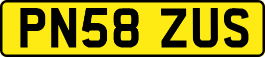 PN58ZUS