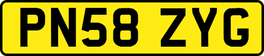 PN58ZYG