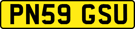 PN59GSU