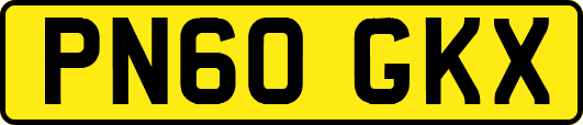 PN60GKX