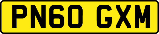 PN60GXM