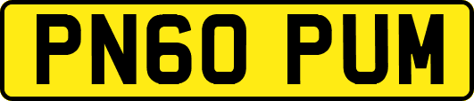 PN60PUM